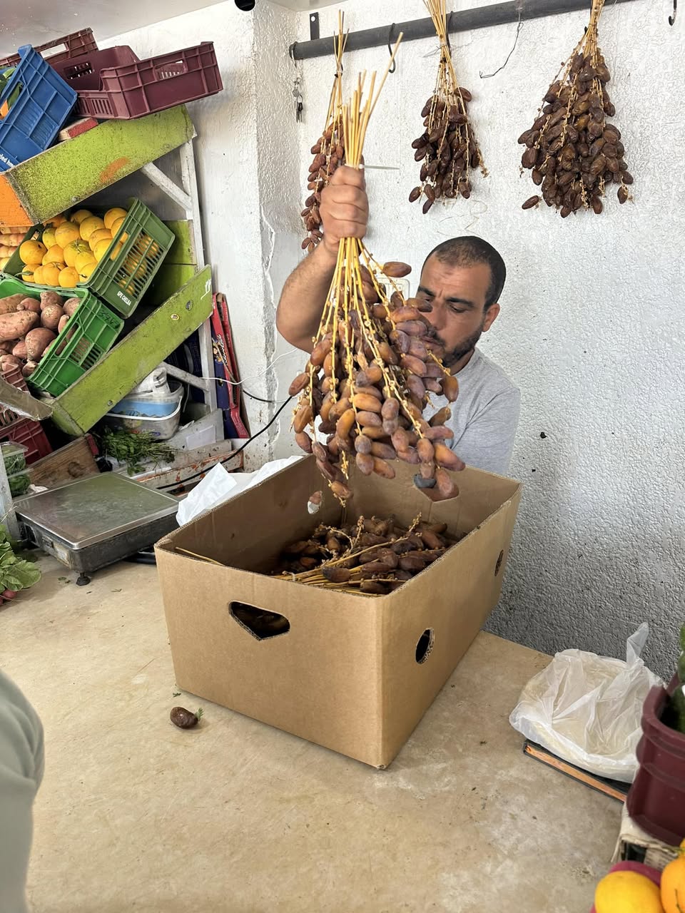DJERBA - MEGA FUN TOUR 2024